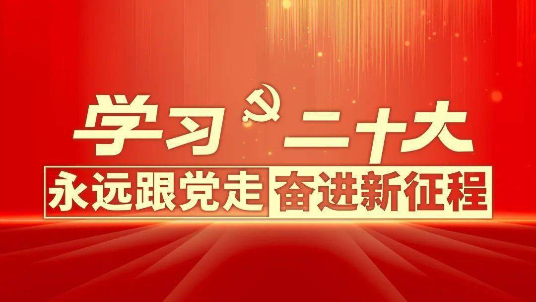 党的二十大一起学